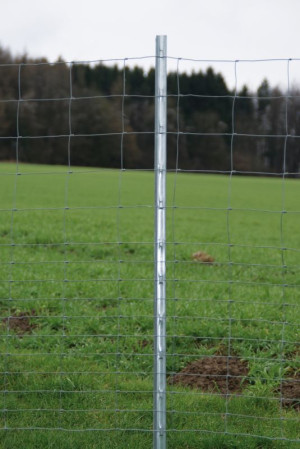 Z-Profil Stahlpfahl für Knotengeflecht 2,10 m, 30 Stück