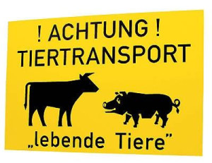 Tiertransportschild Achtung Tiertransport