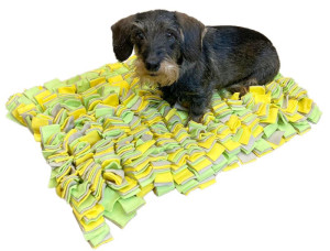 Schnüffelteppich 70x50 xm Das perfekte Such- und Schnüffelspiel