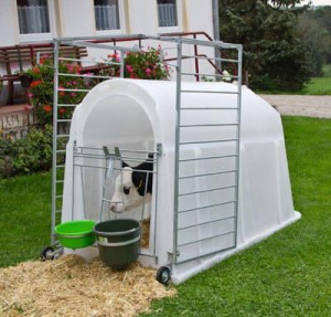 CalfHouse PE UV + CalfHouse ohne Umzäunung 1 Stück