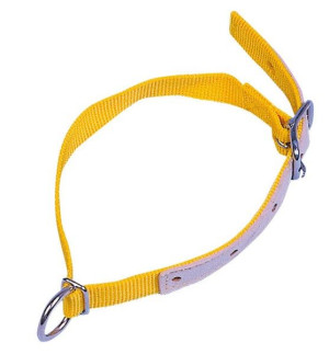 Halsriemen für Schafe 60 cm mit Ring