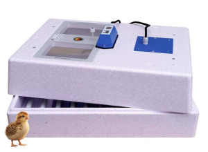 Brutmaschine 3000 für Wachteln Brutmaschine 3000 Premium/Wachtel