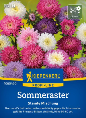 Sommeraster "Standy Mischung" bringt Farbe und Freude in den Garten
