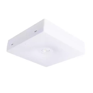 Oprawa awaryjna natynkowa STARLET QUAD SO 150 NM 3H MT