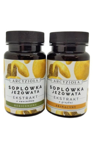 Soplówka Jeżowata 2x30g Arcyzioła Rokitnik i Przyjaciele
Ekstrakt z Grzybni Ekstrakt z Owocników