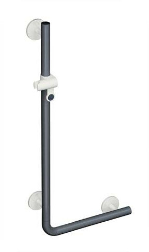 System 800 K Hewi match0 950.33.2109190 1100mm, support de douche, supports et Rosetten , noir profond