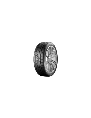 Continental WinterContact TS850 P AO 225/50 R17 94 H