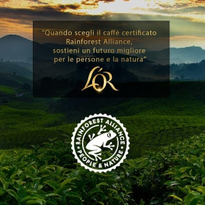 600 Colombia L'or Espresso-kaffeekapseln – Nespresso-kompatible Aluminiumkapseln