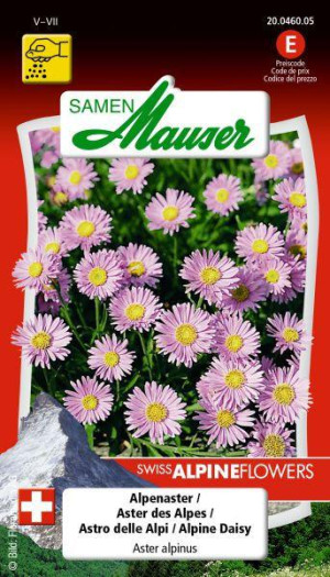 Samen Mauser Alpenaster Blumensamen