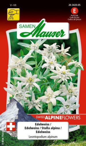 Samen Mauser Edelweiss Blumensamen
