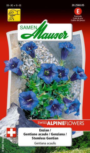 Samen Mauser Enzian Blumensamen
