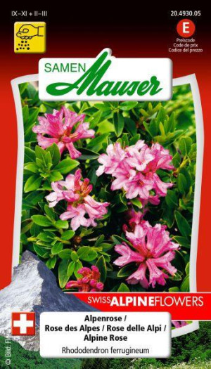 Samen Mauser Alpenrose Blumensamen