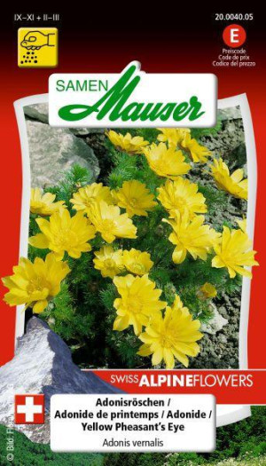 Samen Mauser Adonisr&ouml;schen Blumensamen