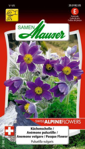 Samen Mauser K&uuml;chenschelle Blumensamen