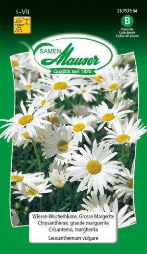 Samen Mauser Wiesen-Wucherblume Blumensamen