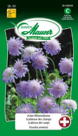 Samen Mauser Acker-Witwenblume Blumensamen