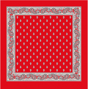 Blumer Carr&eacute; Glarner T&uuml;echli Classic rot
