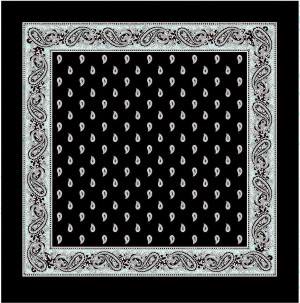 Blumer Carr&eacute; Glarner T&uuml;echli Classic schwarz