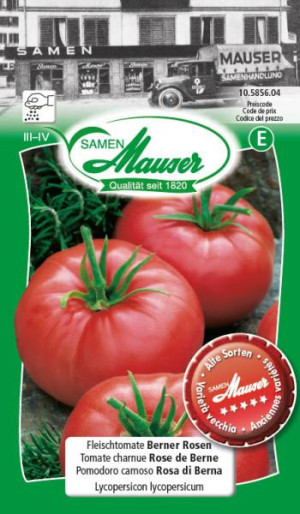 Samen Mauser Fleischtomate Berner Rosen