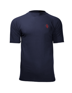 Ragnar Raids Tyr T-Shirt (Färg: Blå, Storlek: XL)