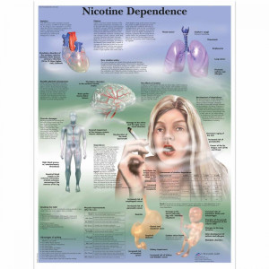 Nikotinavhengighet 50x67 cm