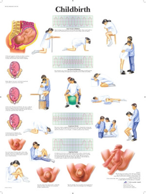 Childbirth 50x67 cm