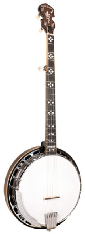 Gold Tone 5-String Orange Blossom LW Vintage Braun