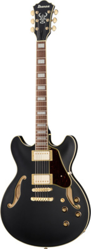 Ibanez AS73 G BKF Black Flat