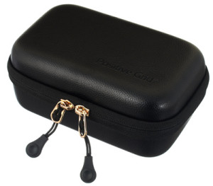 Positive Grid Spark Go Case