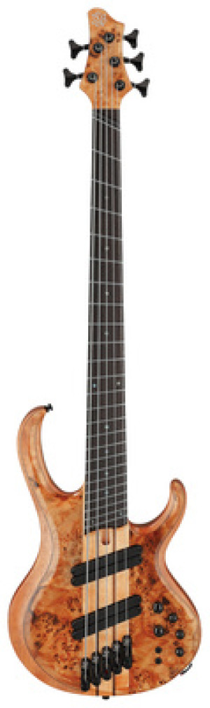 Ibanez BTB805MS-FNL Florid Natural Low Gloss