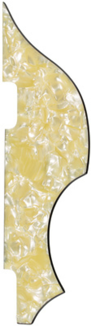 Höfner HCT-65/36-HCT Pickguard