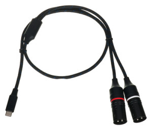 DAP-Audio FL115 USB-C to 2x XLR/M 0.75m Negro