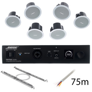 Bose Veritas 1100BH/FS2C W Bundle Blanco