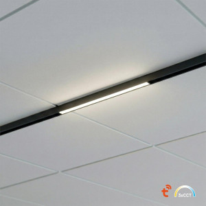 Lampa do szyny magnetycznej Magnetic Track 5mm 10W CCT 48V (ML2606) - Milagro