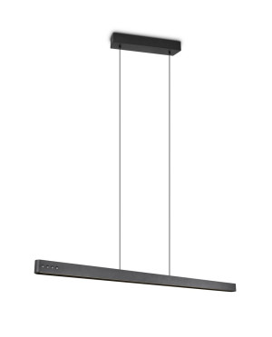 Ściemnialna lampa wisząca na pilota DONEGAL (333310232) - Trio