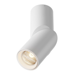 Lampa sufitowa Dafne (C027CL-L10W) - Maytoni