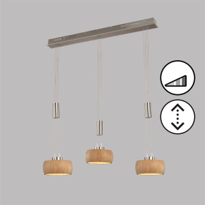 Lampa wisząca SHINE-WOOD (61073) - Fischer&Honsel