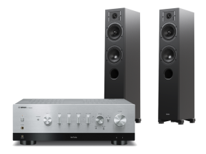 R-N800A (srebrny) + Diva 5 (czarny)