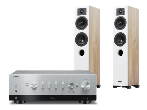 R-N800A (srebrny) + Diva 5 (dąb)