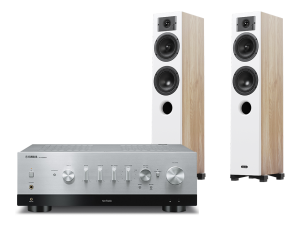 R-N1000A (srebrny) + Diva 5 (dąb)