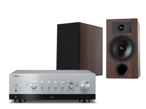 R-N800A (srebrny) + Tesi 3 (mokka)