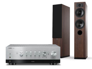 R-N800A (srebrny) + Tesi 5 (mokka)