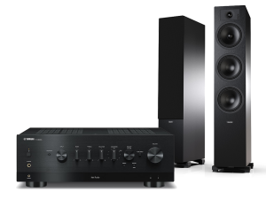 R-N800A + Tesi 6