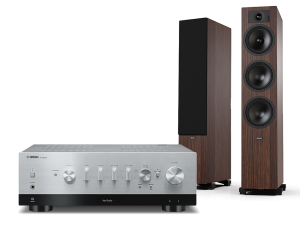 R-N800A (srebrny) + Tesi 6 (mokka)