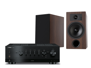 R-N1000A (czarny) + Tesi 3 (mokka)