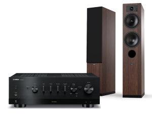 R-N1000A (czarny) + Tesi 5 (mokka)