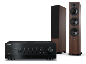 R-N1000A (czarny) + Tesi 6 (mokka)
