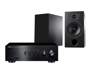 A-S301 + Tesi 3