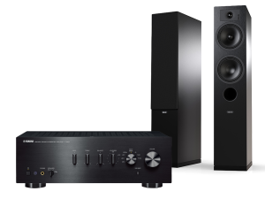 A-S501 + Tesi 5