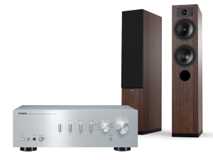 A-S501 (srebrny) + Tesi 5 (mokka)